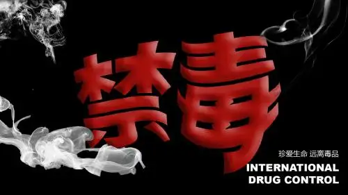 黑色简约大气禁毒知识教育宣传主题PPT模板