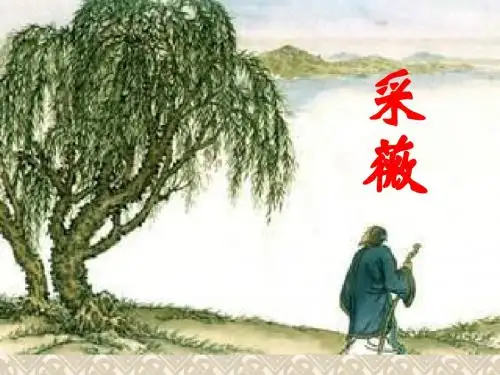采薇PPT(上课实用).
