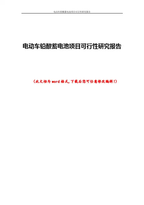 电动车铅酸蓄电池项目可行性研究报告