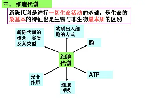 细胞代谢