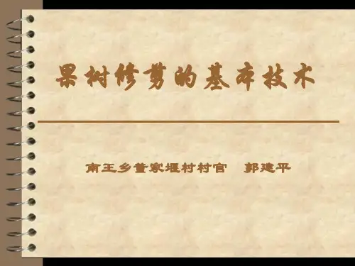 果树修剪的基本技术