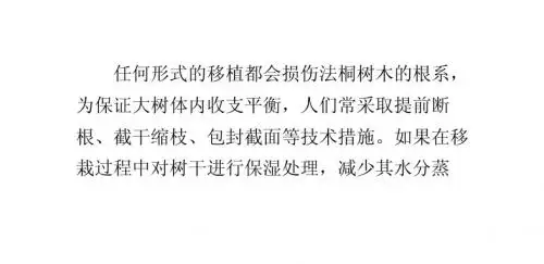 法桐等大乔木移栽树干保湿三法_0
