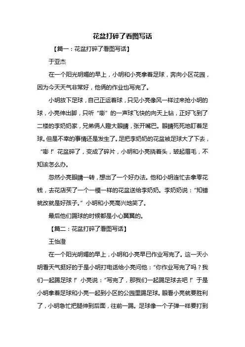 二年级作文：花盆打碎了看图写话