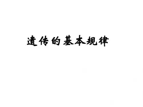 遗传规律、伴性遗传复习