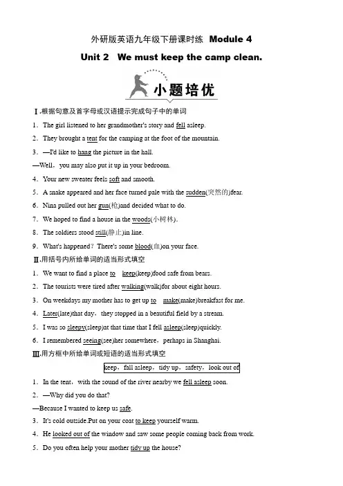 外研版英语九年级下册课时练  Module 4    Unit 2