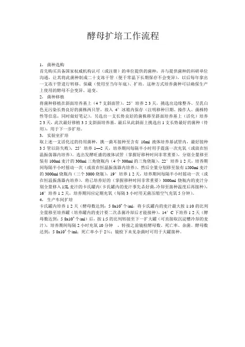 酵母扩培工作流程