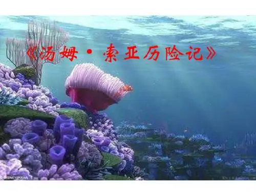 17汤姆索亚历险记