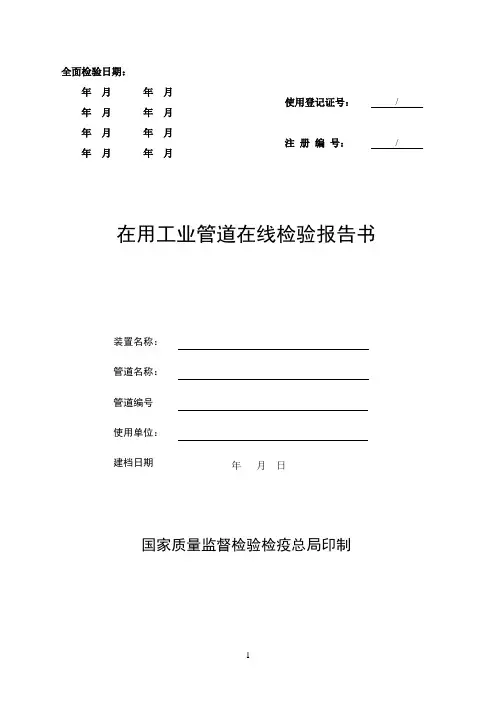 在用工业管道在线检验报告.doc