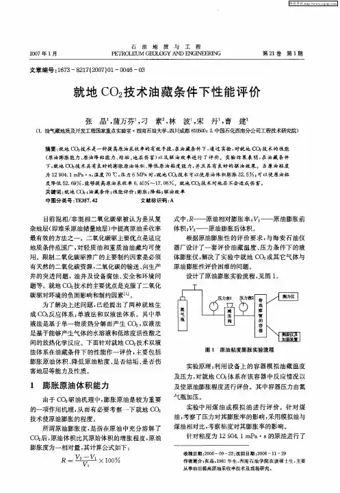 就地CO2技术油藏条件下性能评价