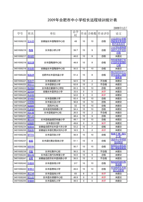 2009年合肥市中小学校长远程培训统计表2009121010053391
