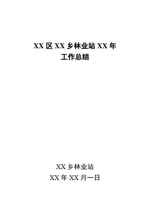 乡镇党委、政府工作总结