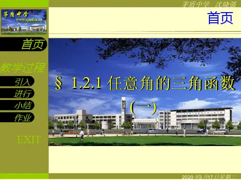 121任意角的三角函数一
