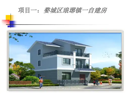 农村简单平面图1