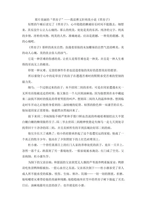 最新-那片美丽的草房子——我读曹文轩纯美小说《草房子》 精品