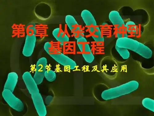 6.2基因工程及其应用
