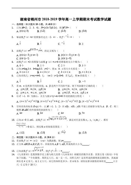 湖南省郴州市2018-2019学年高一上学期期末考试数学试题含解析