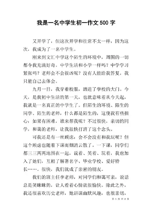 我是中学生了作文500