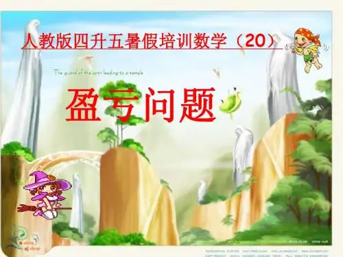 20盈亏问题
