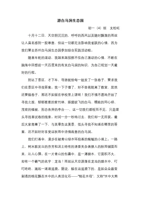 游白马涧