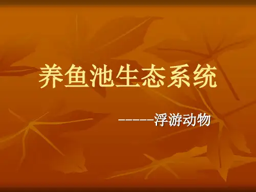 养鱼池生态系统