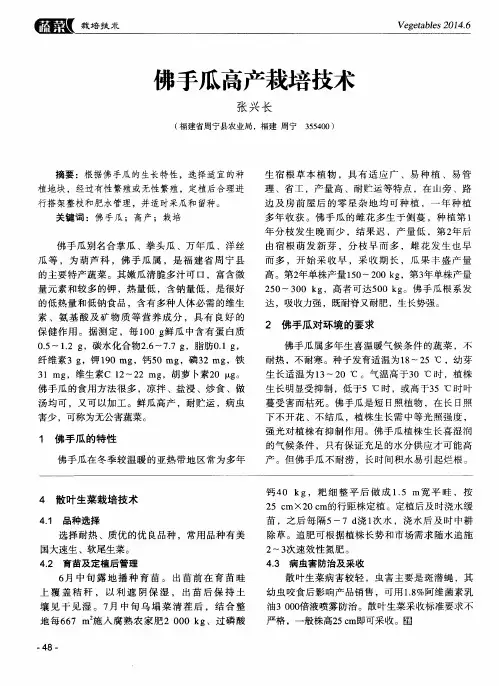 佛手瓜高产栽培技术