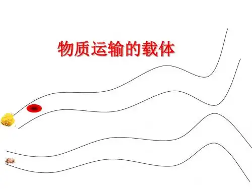 七年级生物物质运输的载体