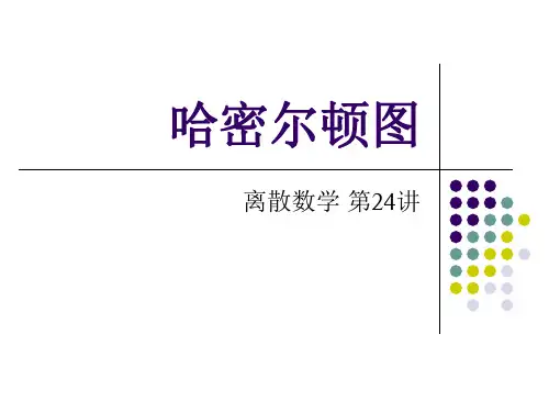 24-哈密尔顿图