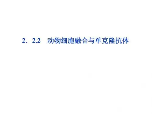 高中生物选修3专题2 2.2.2