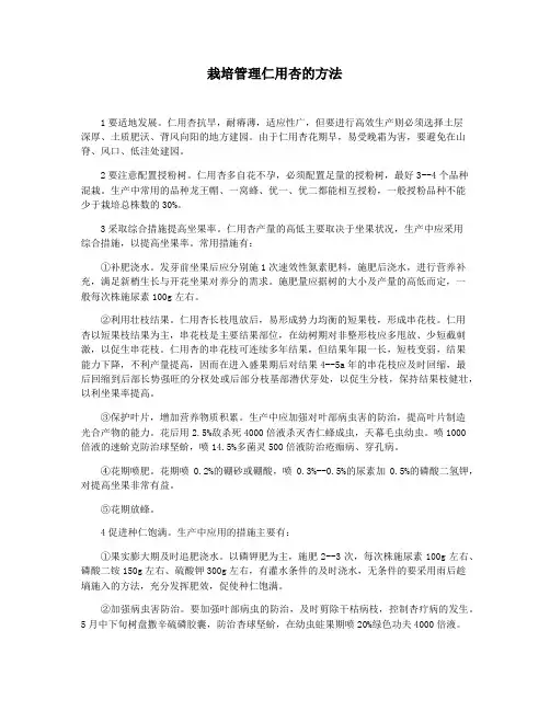 栽培管理仁用杏的方法