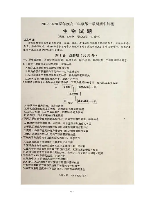 江苏省徐州市2020届高三上学期期中考试生物试题