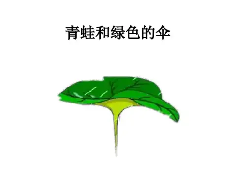 青蛙和绿色的伞