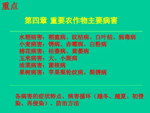 植物保护学通论：第四章 重要农作物主要病害