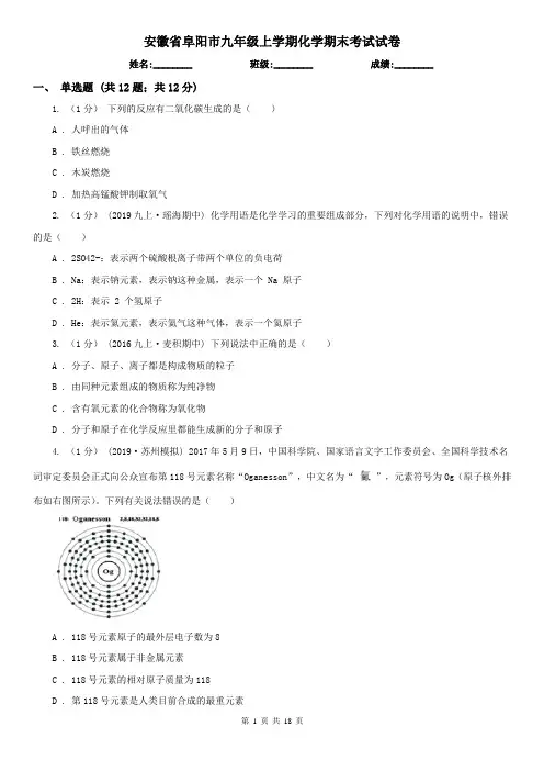 安徽省阜阳市九年级上学期化学期末考试试卷
