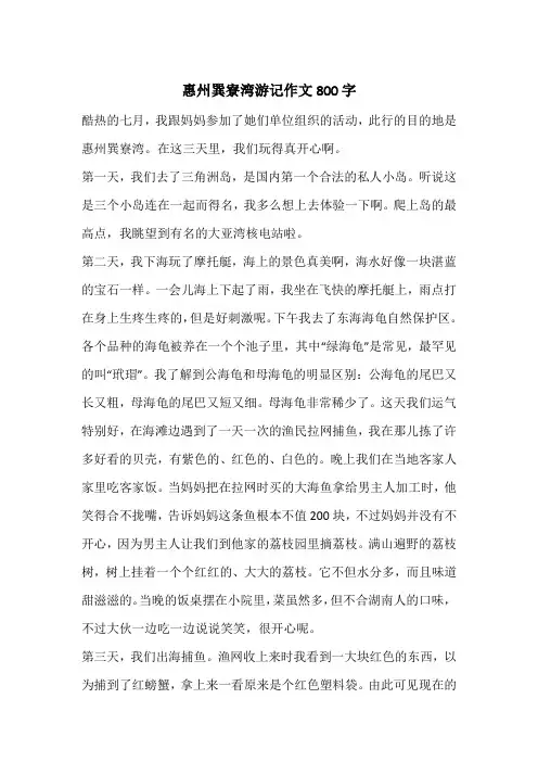 惠州巽寮湾游记作文800字