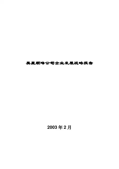 企业战略报告(某国内知名咨询公司制作)