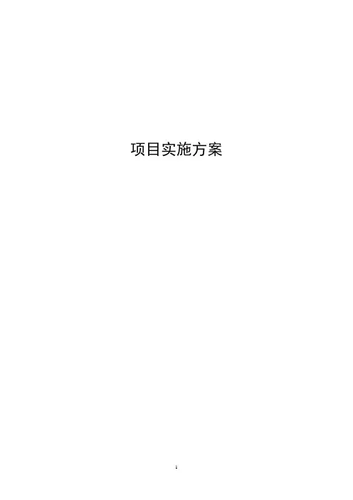 项目实施方案范文