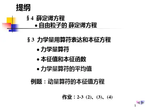 经典薛定谔方程
