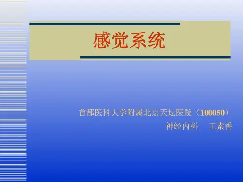 感觉和反射(进修)