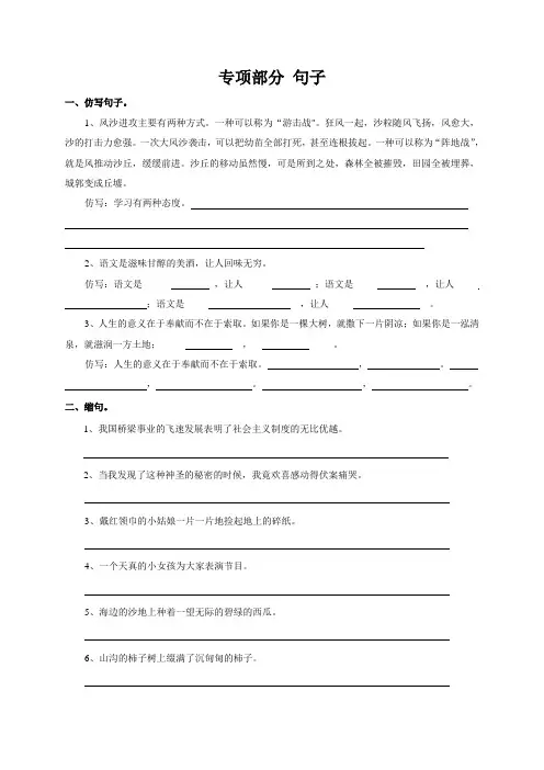 语文S版六年级语文上册专项复习 句子