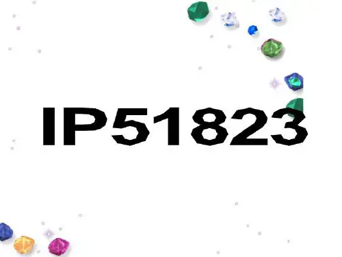 IP51823