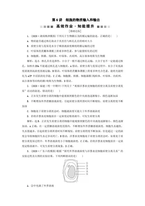 (选考)2021版新高考生物一轮复习第6讲细胞的物质输入和输出高效作业知能提升新人教版