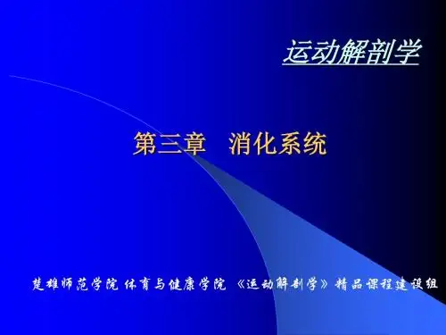 第三章 内脏