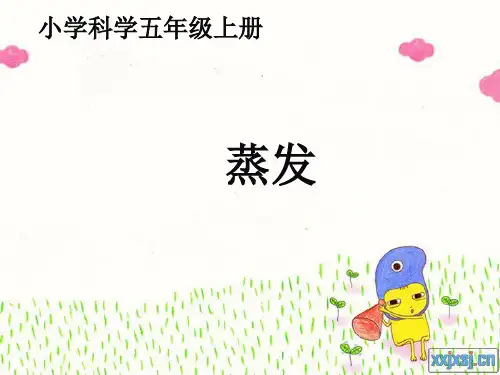 青岛版小学科学五级上册《蒸发》1