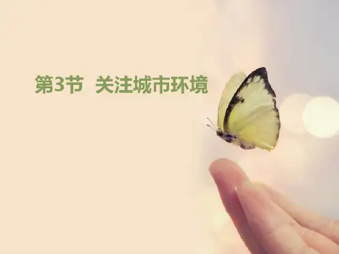 《关注城市环境》课件【完美版课件】