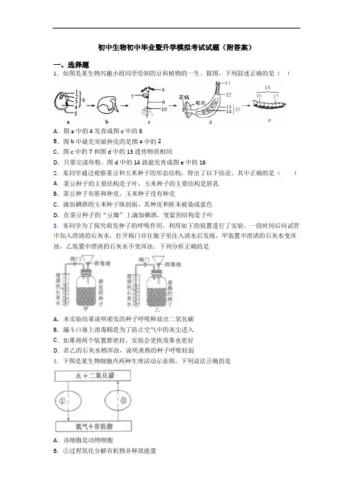 初中生物初中毕业暨升学模拟考试试题(附答案)