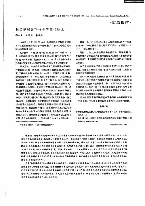 胸腔镜辅助下行食管癌切除术
