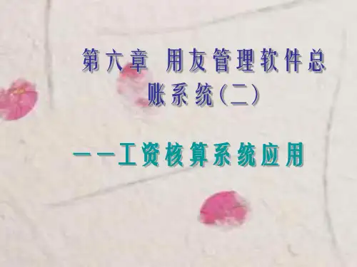 《工资核算系统应》PPT课件