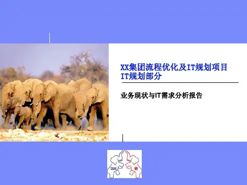 XX公司IT战略规划