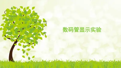 单片机开发 数码管显示实验