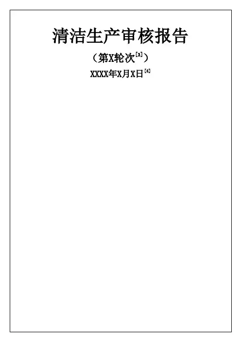 清洁生产审核报告 